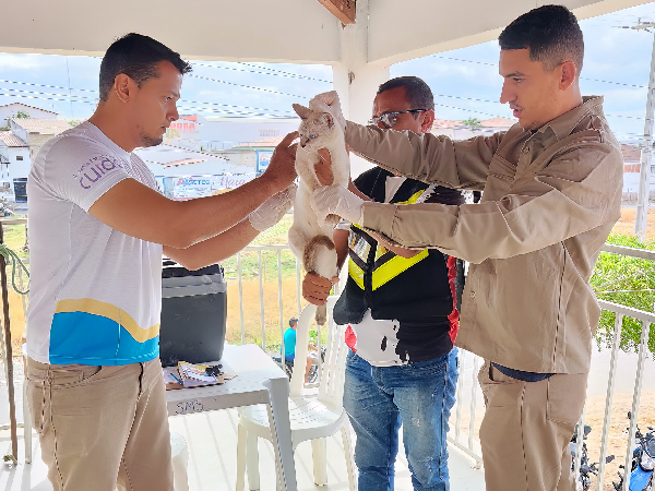 Dia D de Vacinação Antirrábica Protege Animais e Mobiliza População em Solonópole